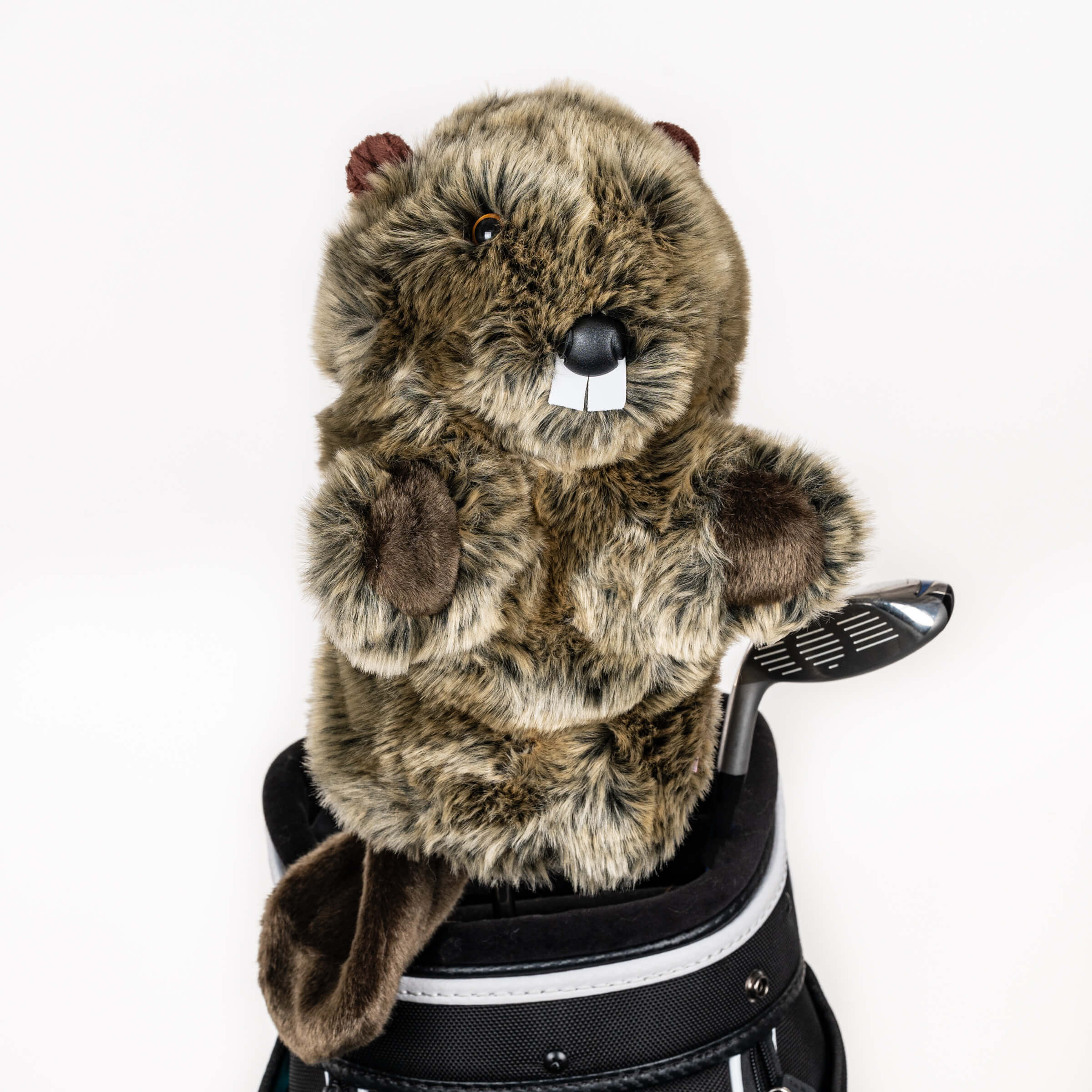 Cooperbear クーパーベアー Beaver Headcover - Daphne's Headcovers