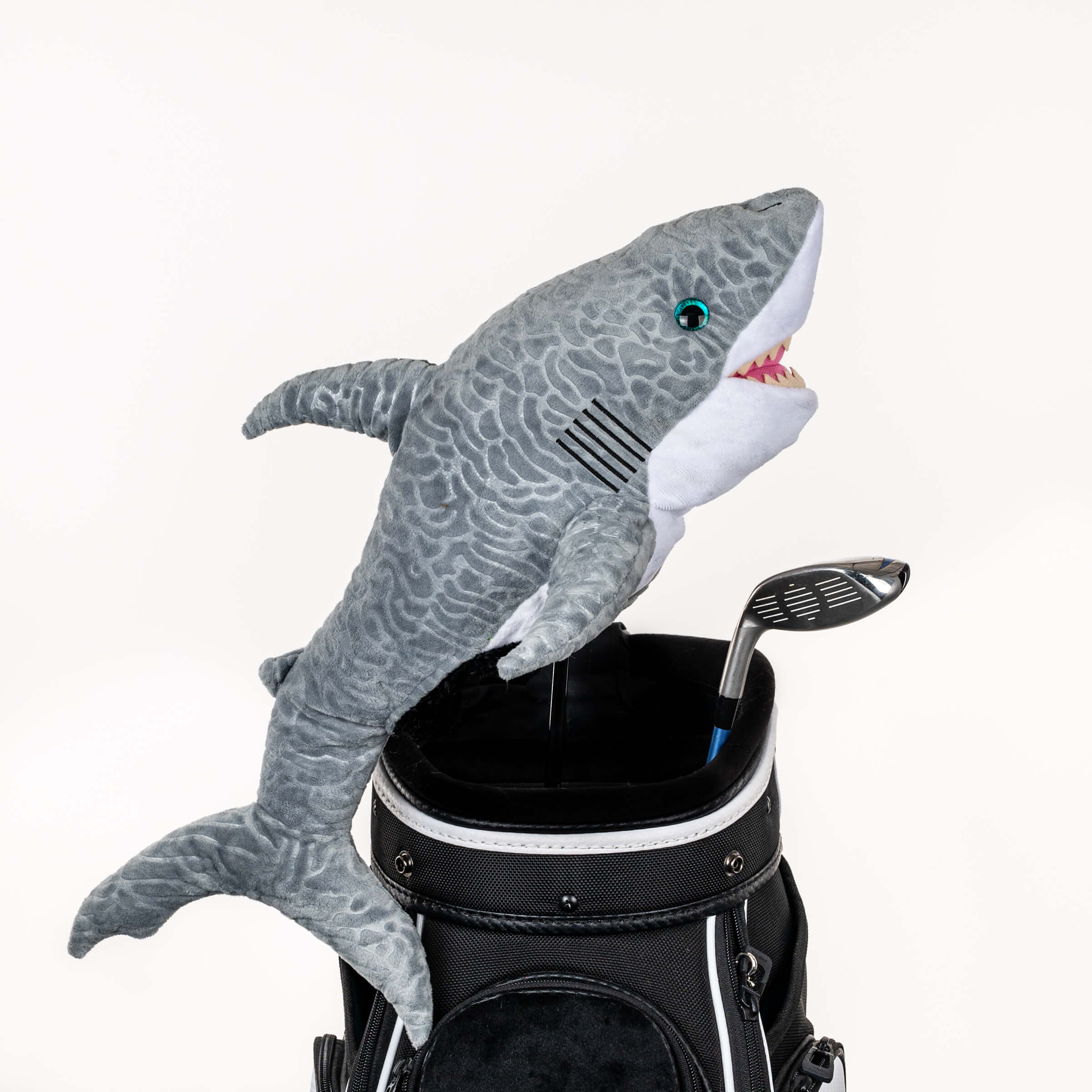 Daphne's Shark Headcover