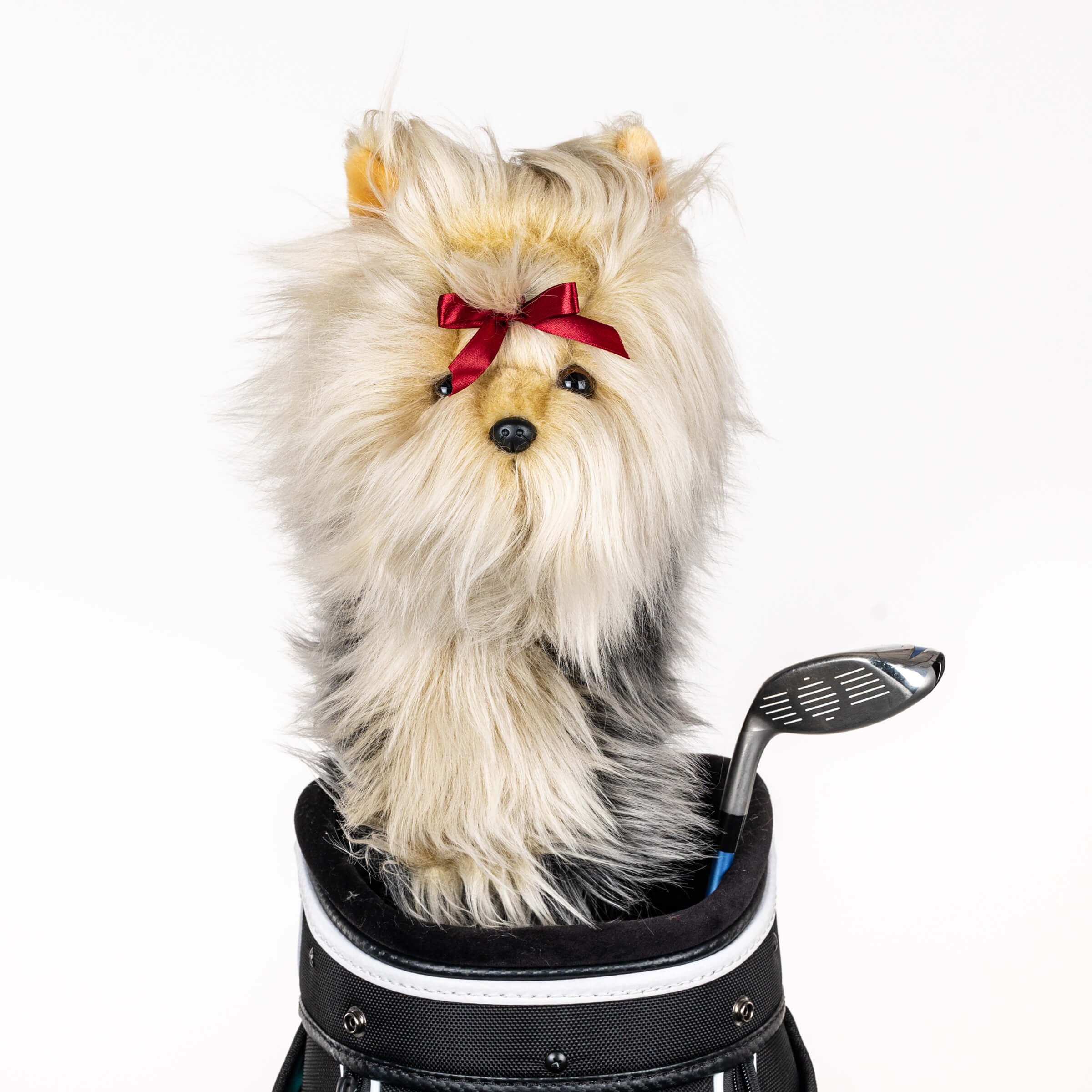 Yorkie Face Cover Yorkie Face Cover