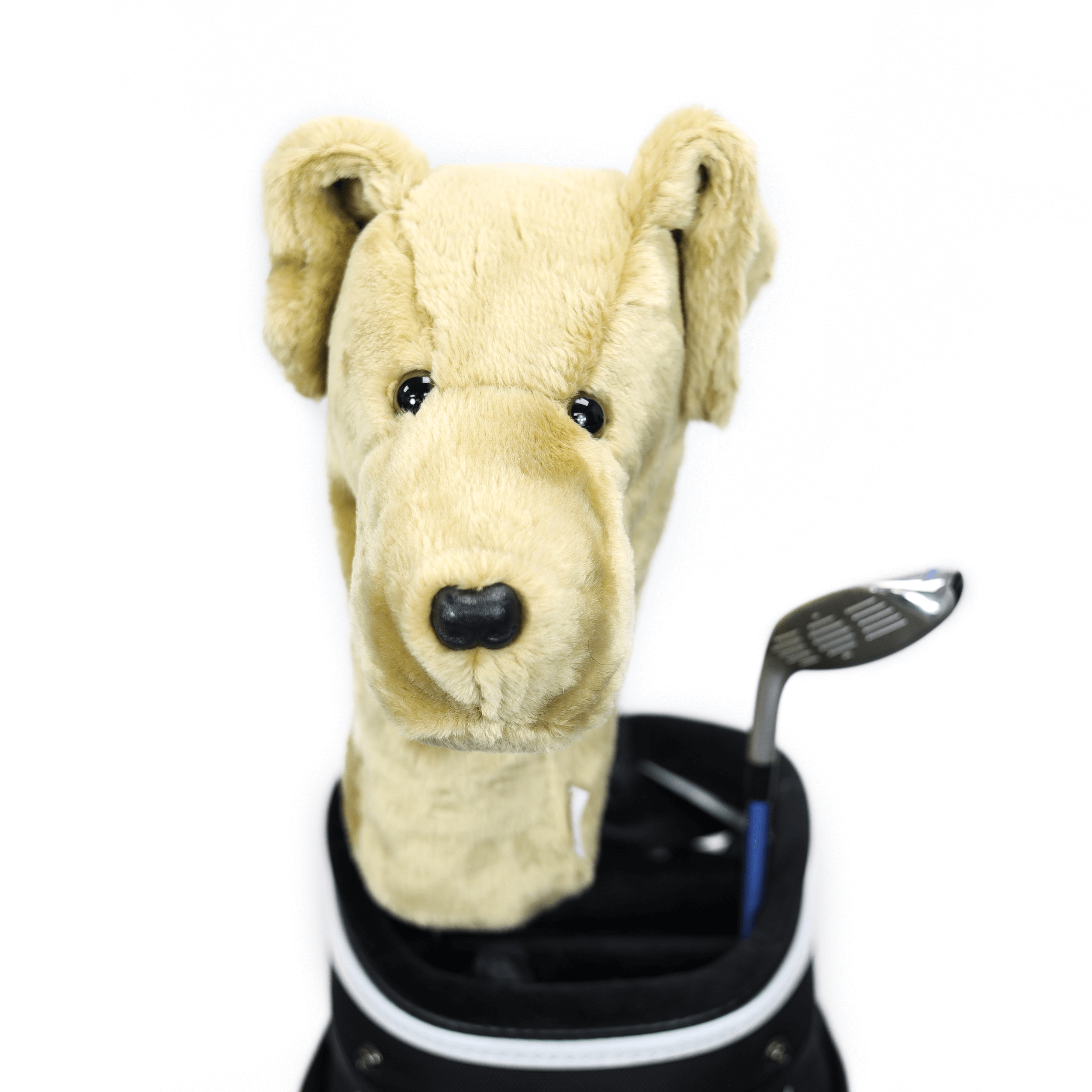 Yellow Lab Golf Headcover Daphne's Headcovers
