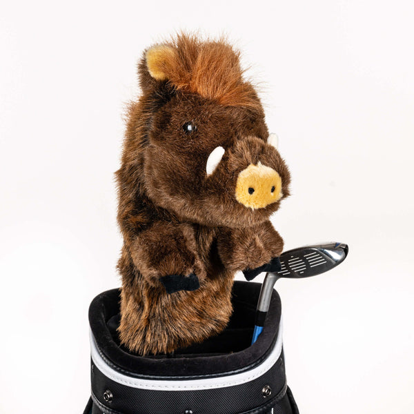 Boar
