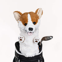 Corgi