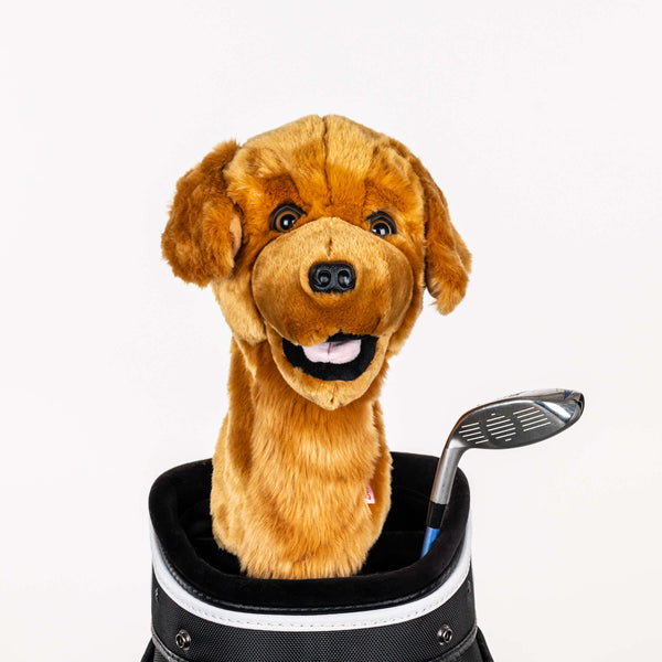 GoldenRetrieverHeadcoveronBag_