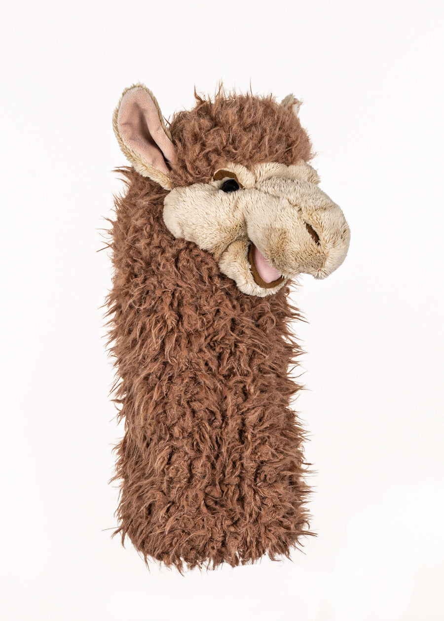 Llama