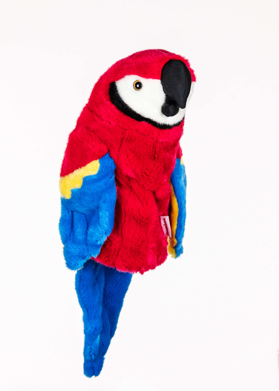 Parrot