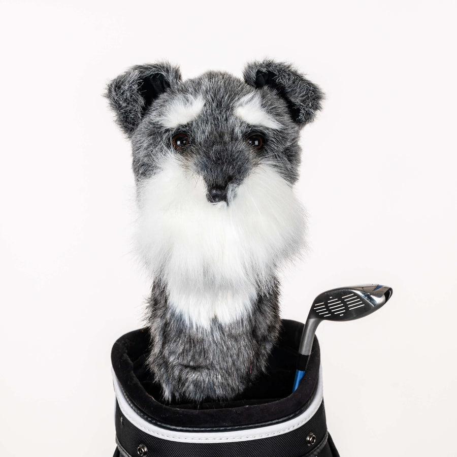 Schnauzer