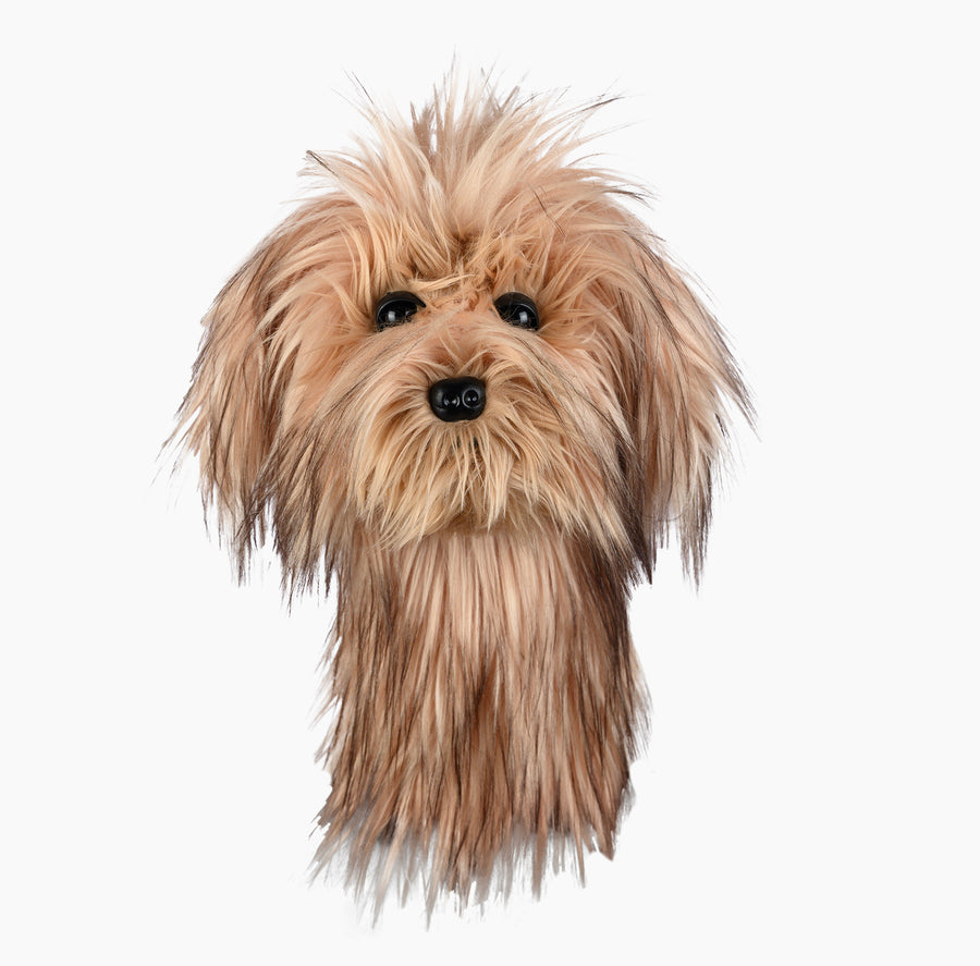 Scruffy Fluffy Dog Race Scruffy Dog Most Famous Dog Movies Shaggy