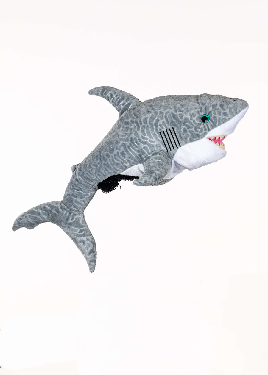 Shark