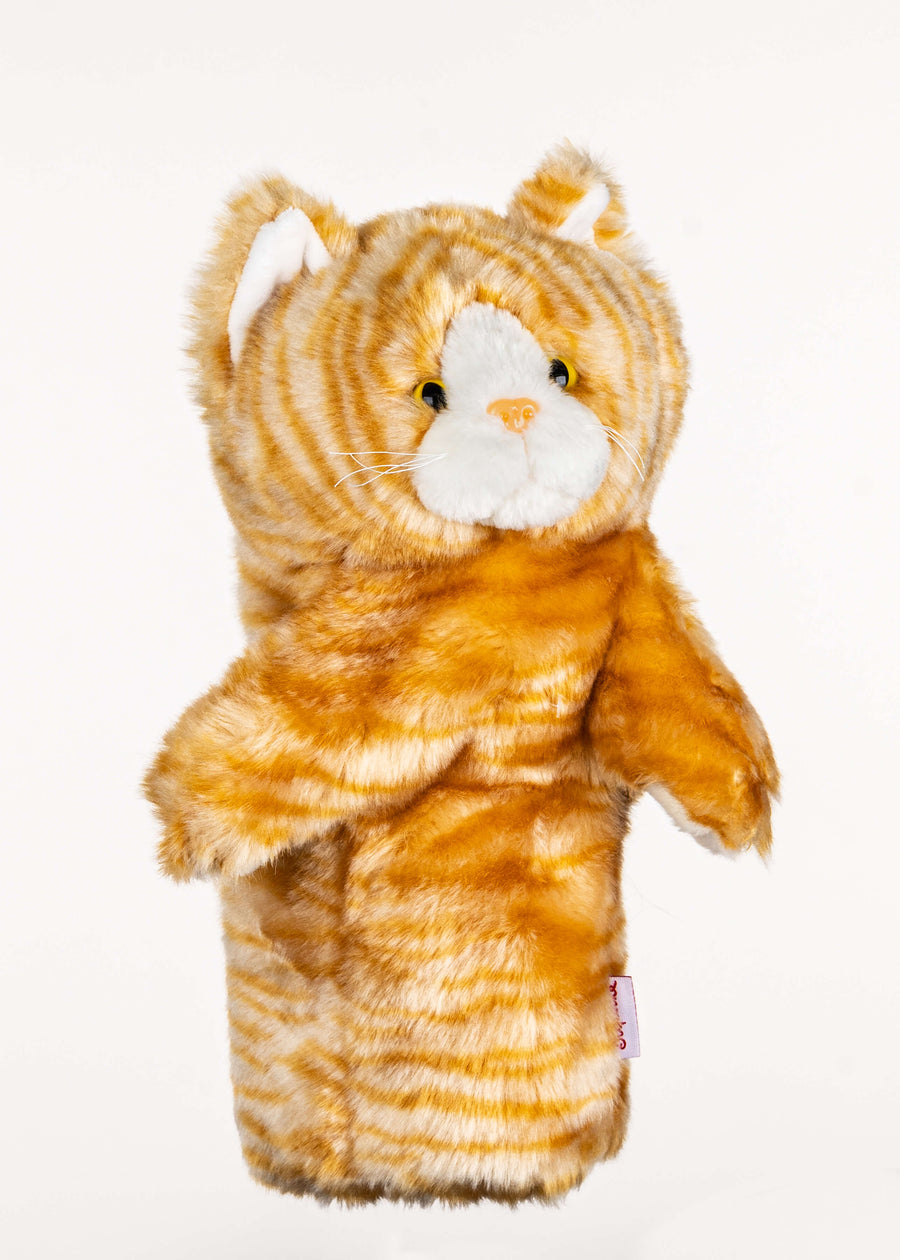 Tabby Cat
