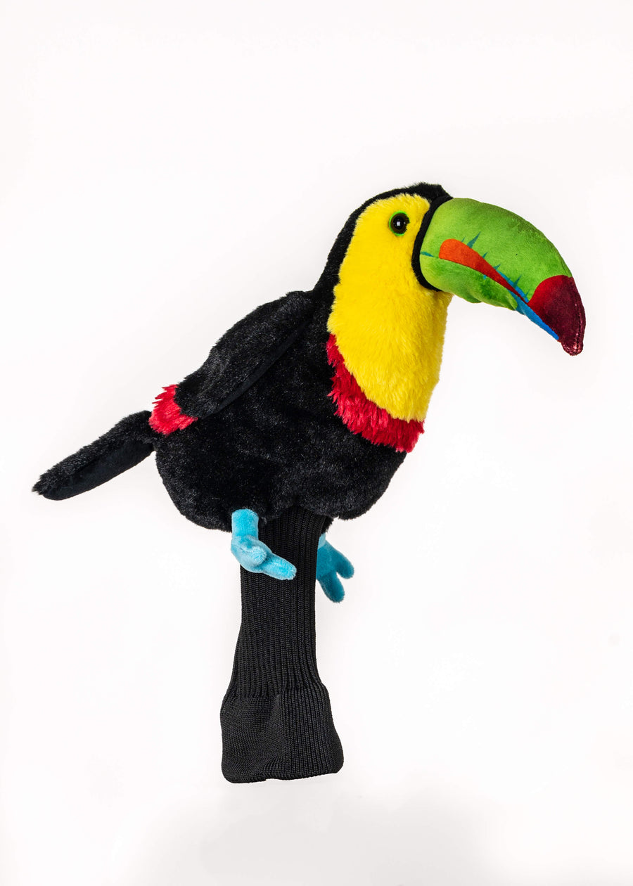 Toucan