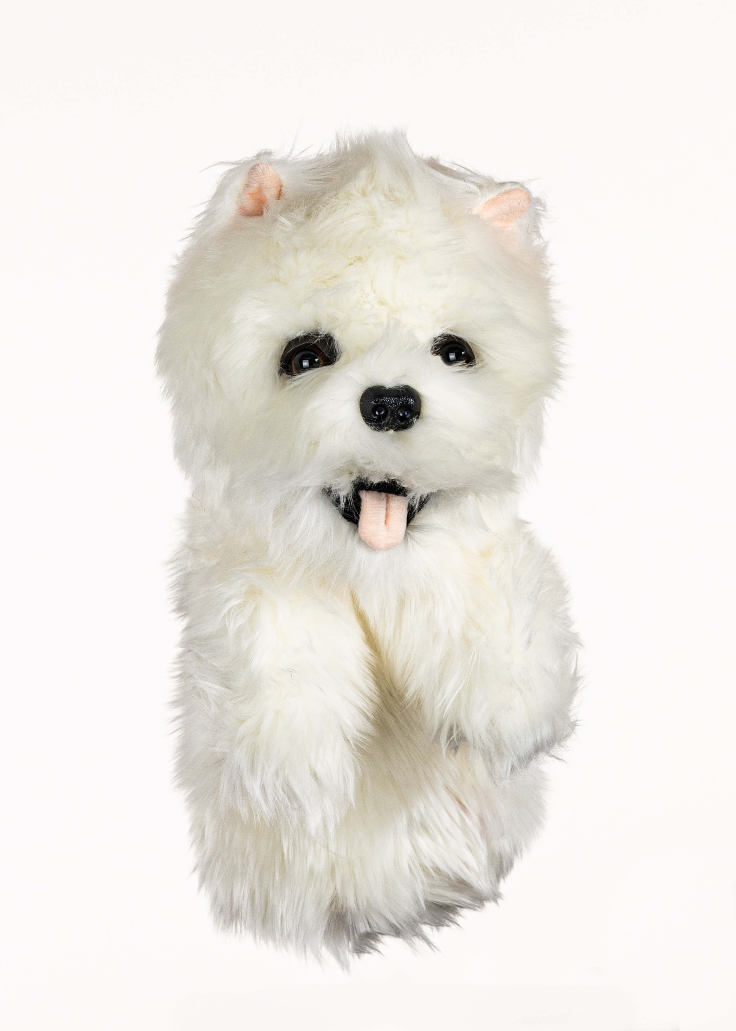 Westie Golf Headcover Daphne's Headcovers