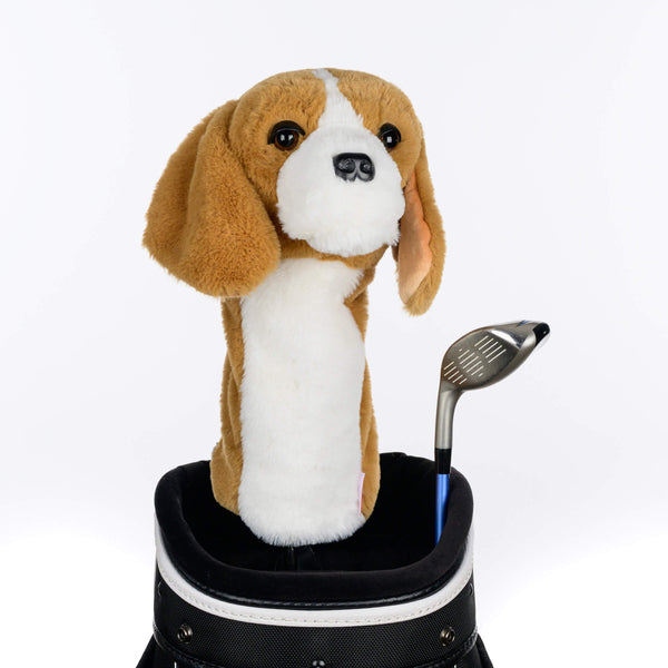 Beagle