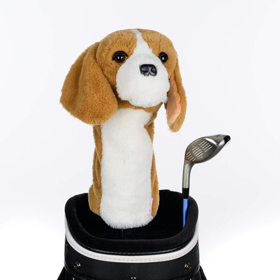 Beagle