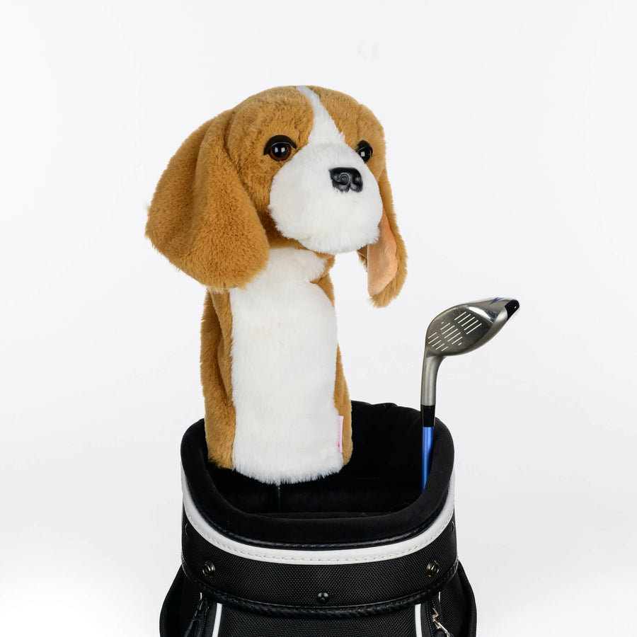 Beagle