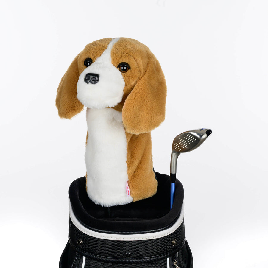 Beagle