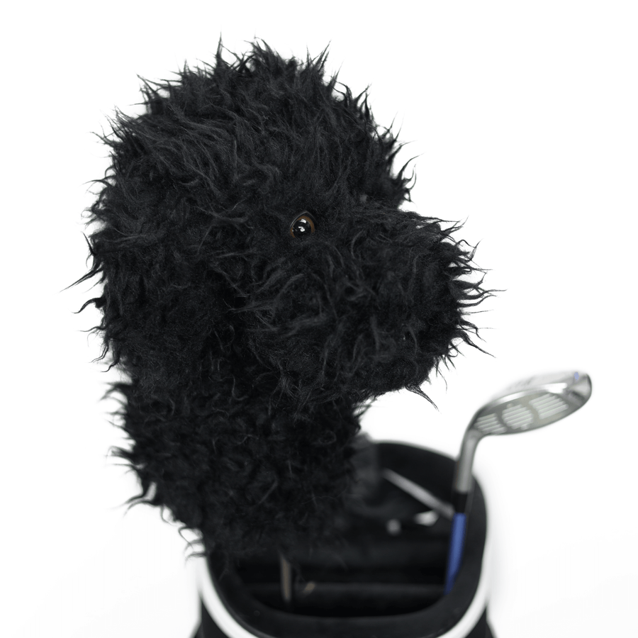 Black Doodle