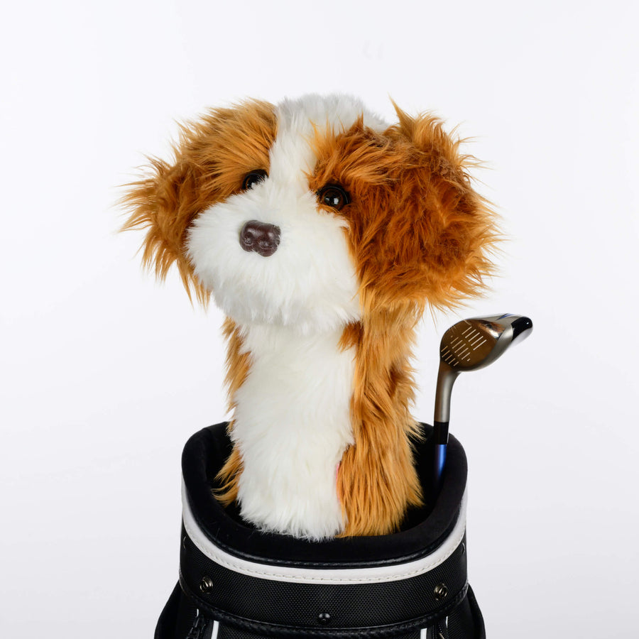 Cavapoo