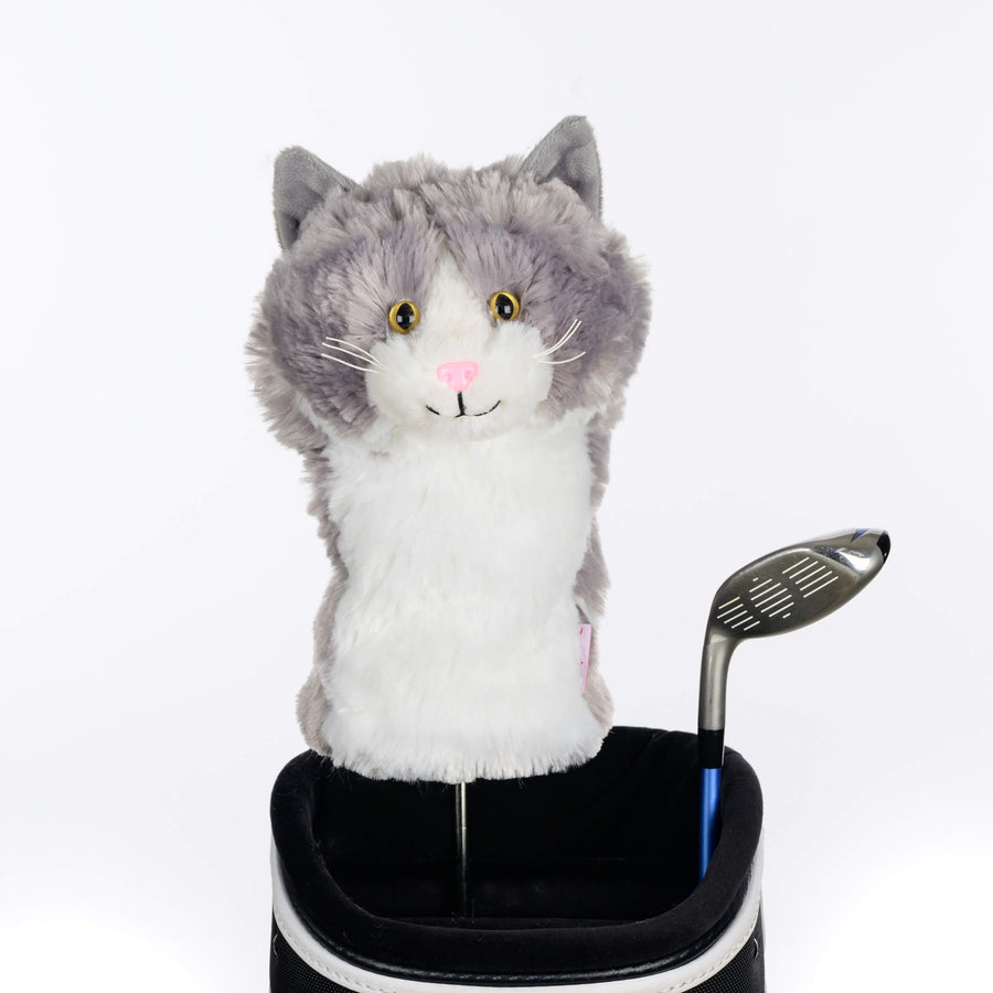 Grey & White Cat