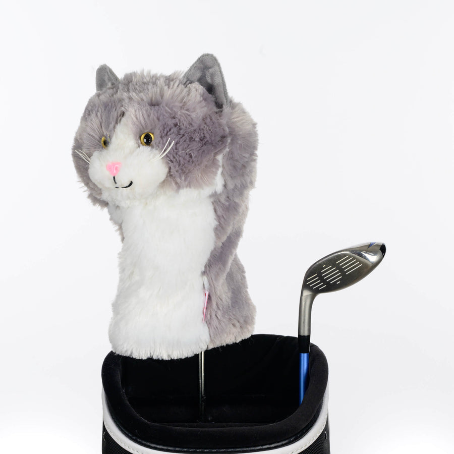 Grey & White Cat