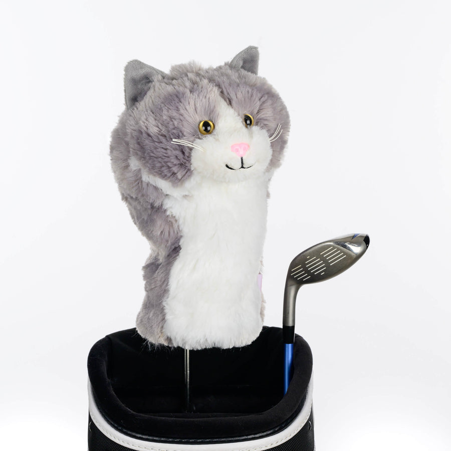 Grey & White Cat