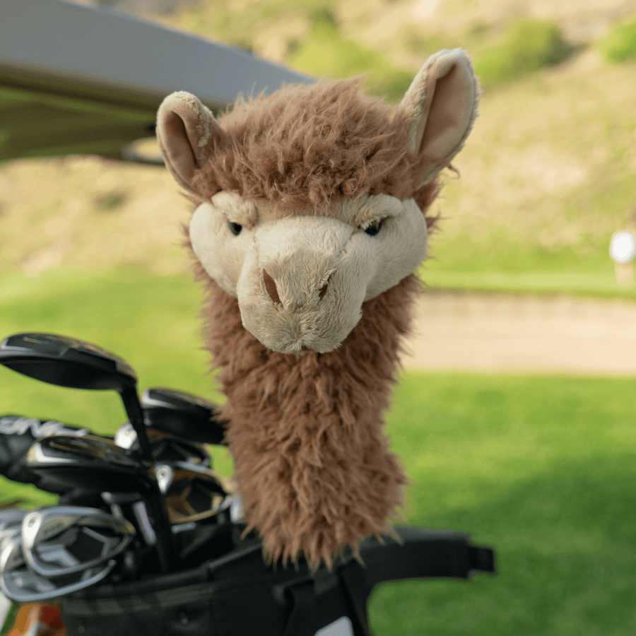 Llama