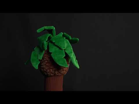 Palm Tree