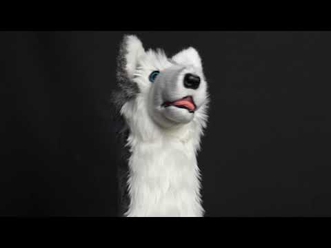 Husky