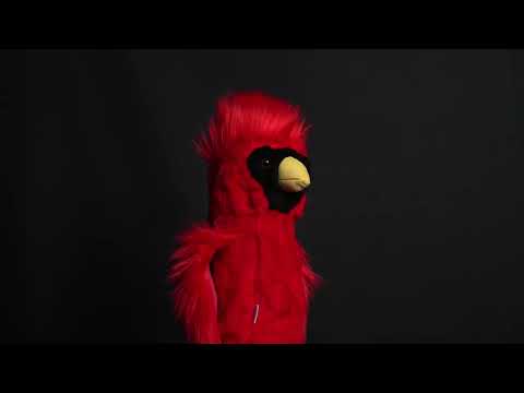 Cardinal