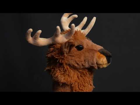 Elk