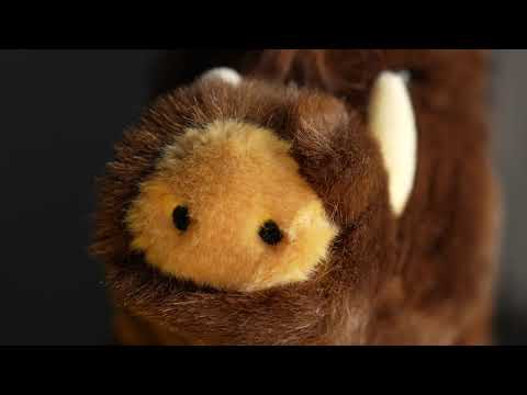 Boar