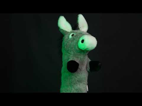 Donkey