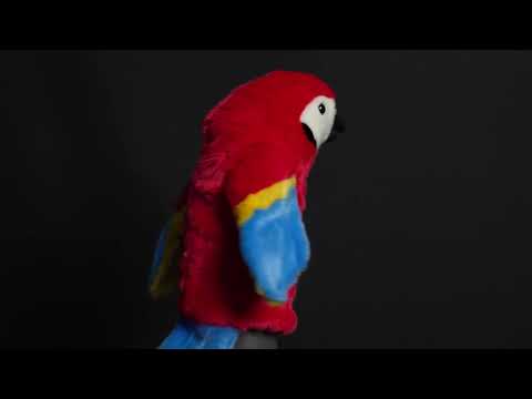 Parrot