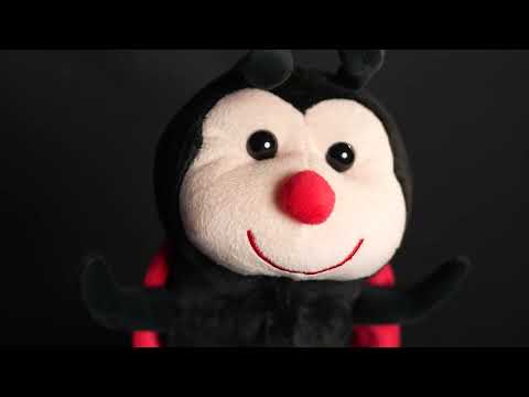 Ladybug Hybrid